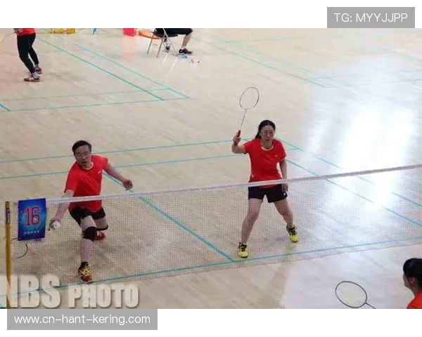 赛后分析：北京羽毛球队与上海羽毛球队的实力对决与战术探讨