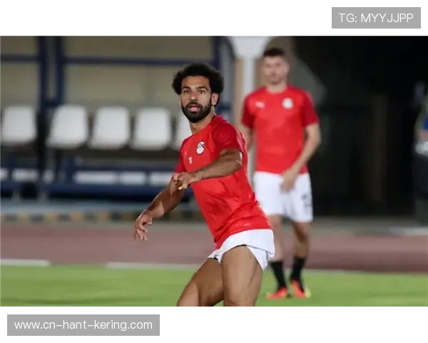 埃及与乌干达足球比赛因不可抗力因素宣布取消引发广泛关注